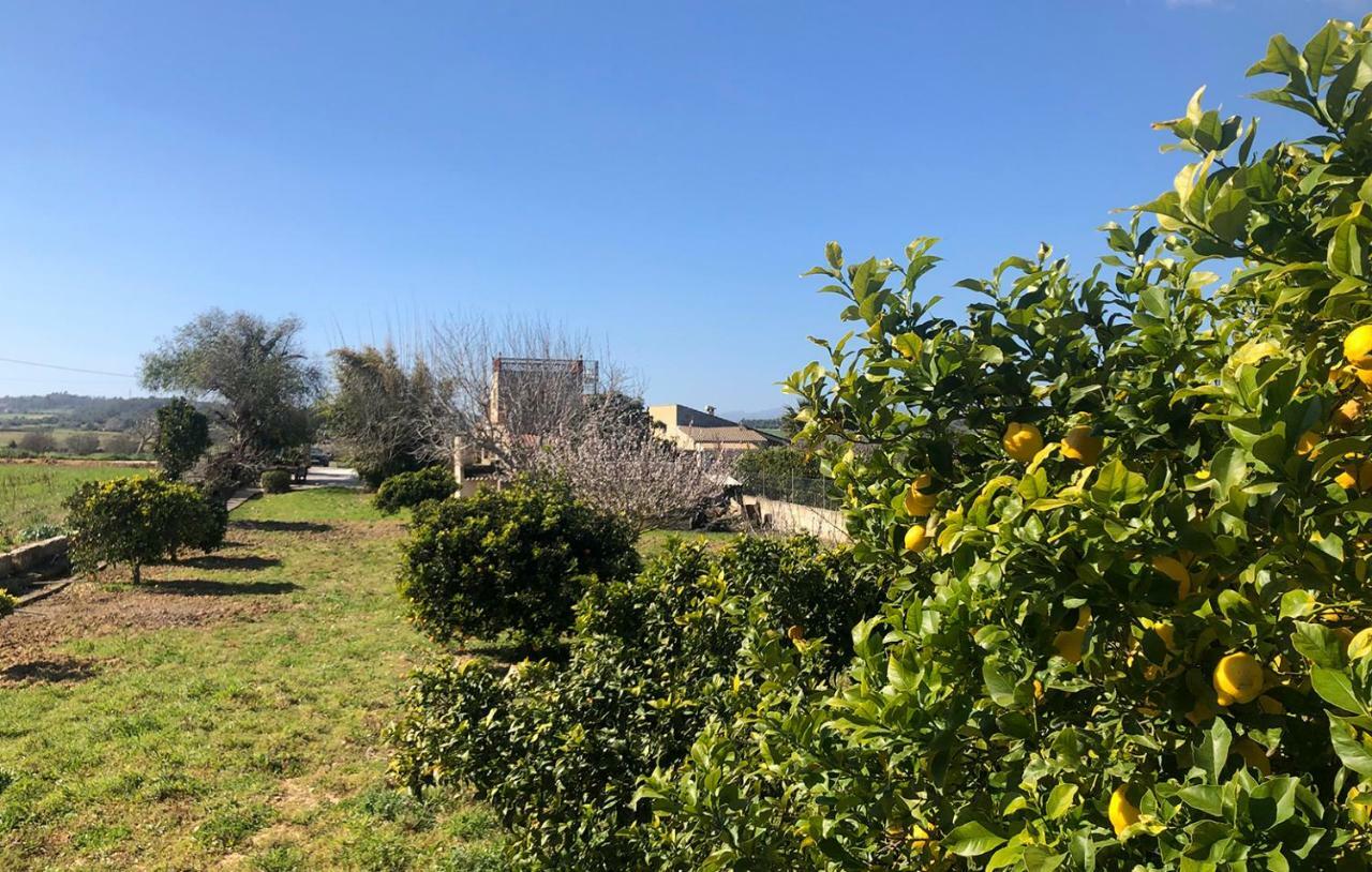 Son Roig ,Beautiful Place In The Heart Of Mallorca -Etv 9979 Thị trấn Thị trấn Maria de la Salut Ngoại thất bức ảnh