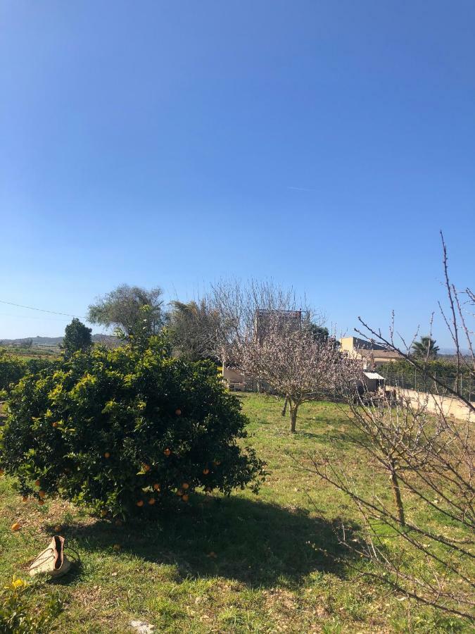Son Roig ,Beautiful Place In The Heart Of Mallorca -Etv 9979 Thị trấn Thị trấn Maria de la Salut Ngoại thất bức ảnh